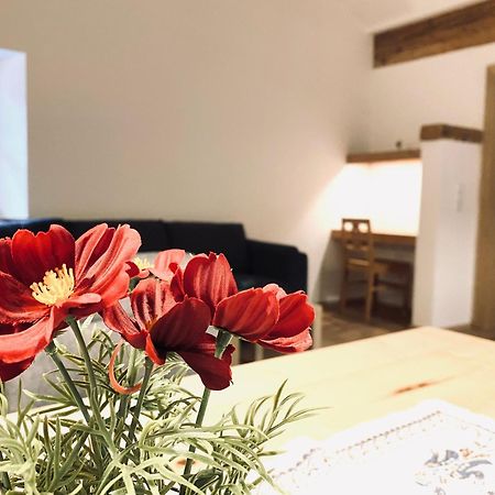 Steinergut Apartments Sankt Martin bei Lofer Zewnętrze zdjęcie