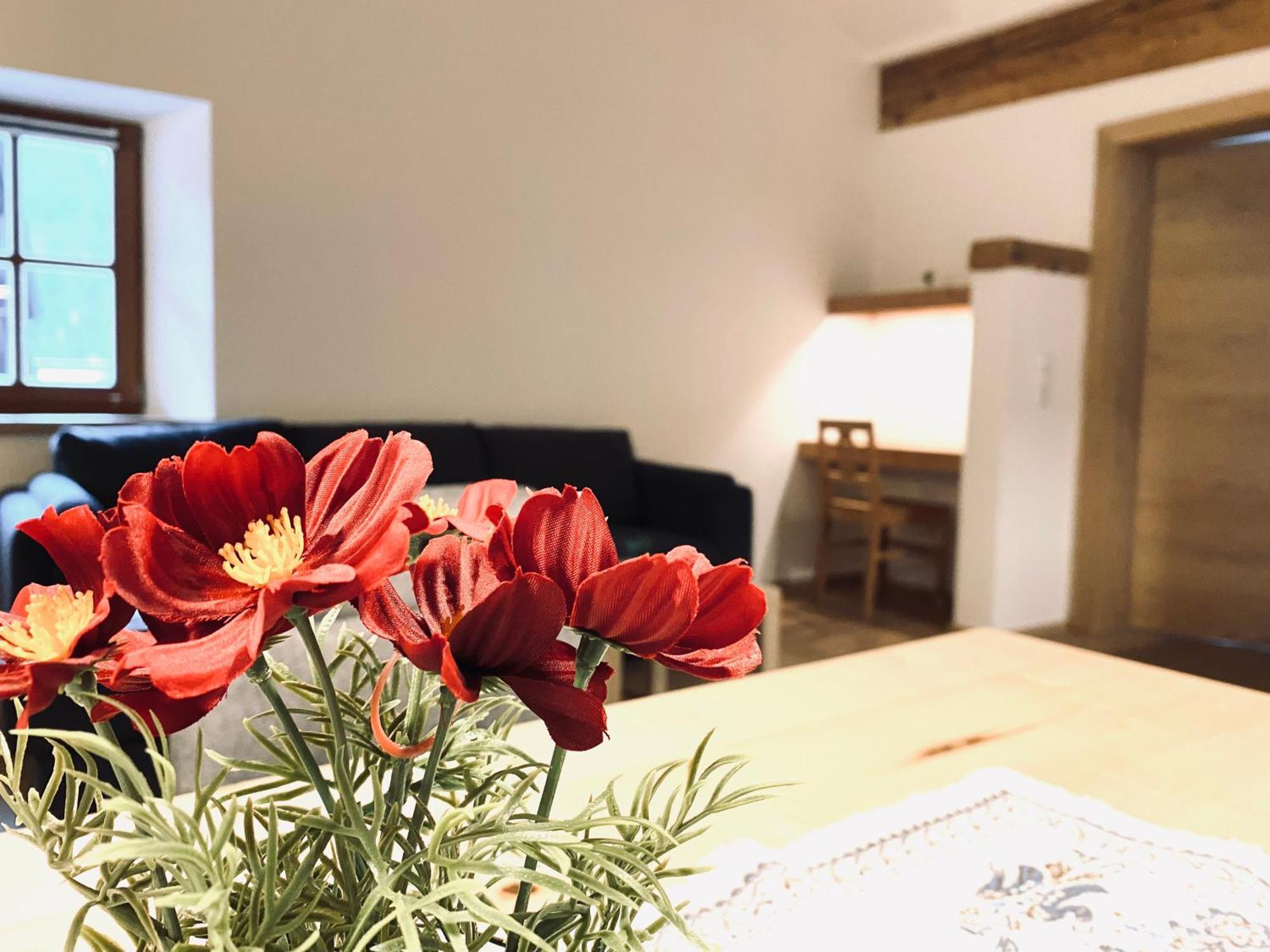 Steinergut Apartments Sankt Martin bei Lofer Zewnętrze zdjęcie